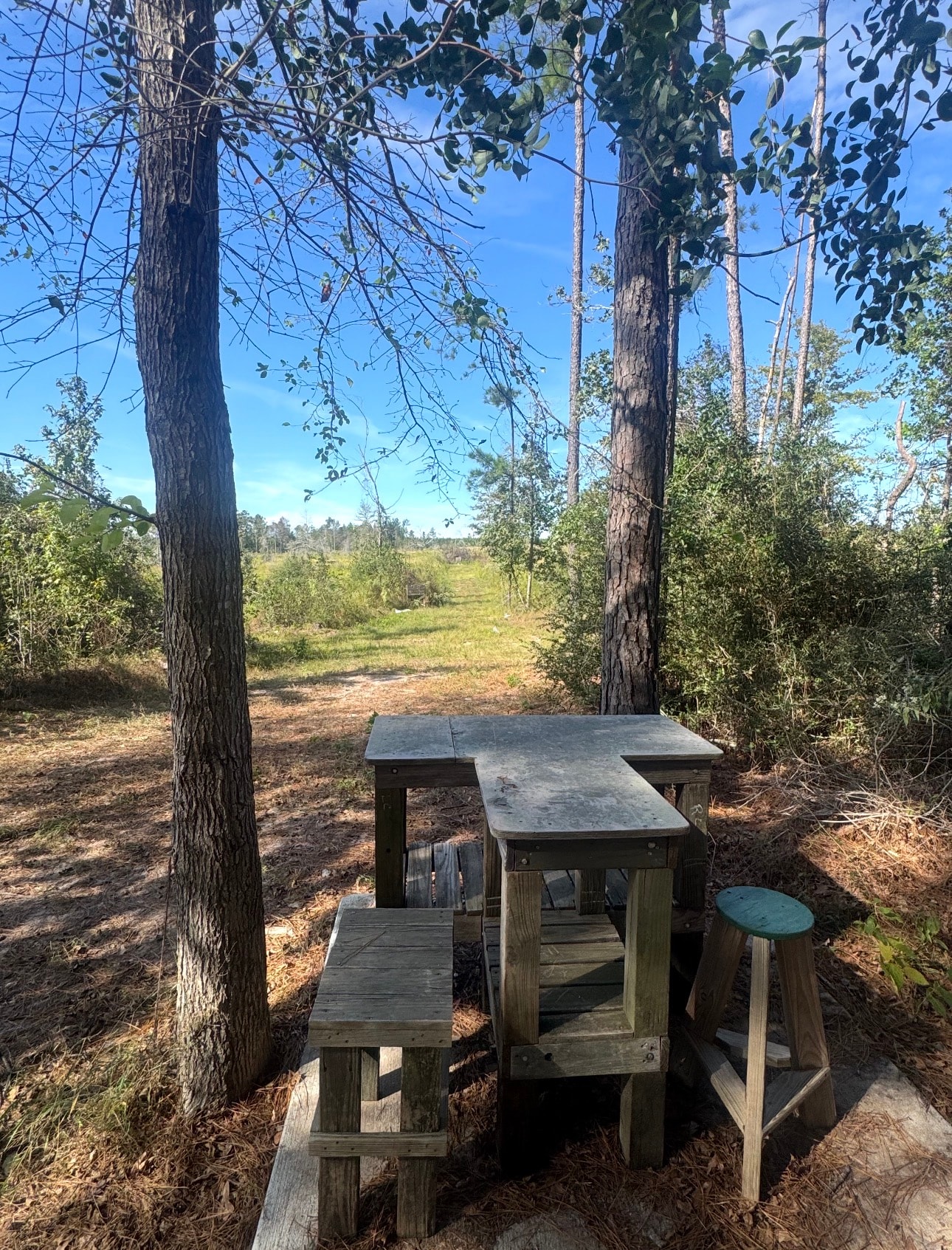 Outdoor shooting bench in the woods